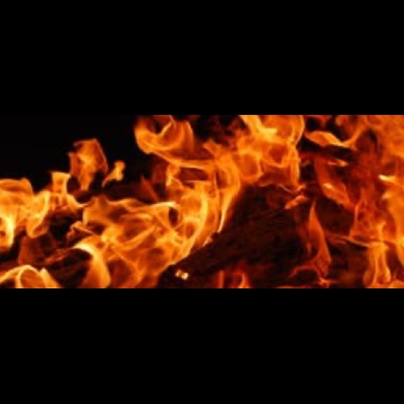 Meet your Posher, Liam - Picture 1 of 1